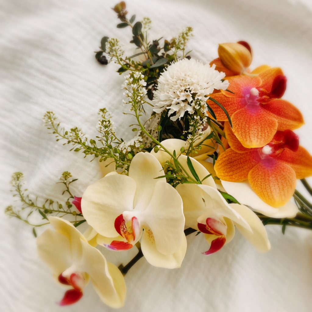 hope -希望の架け橋-